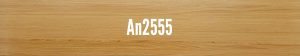 An2555